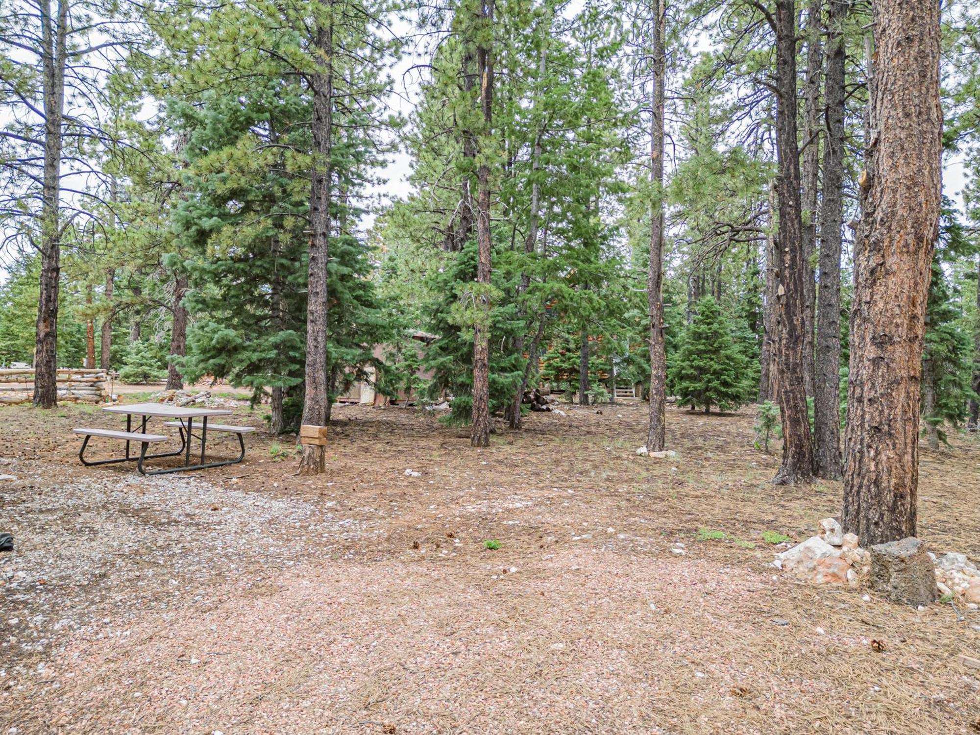 הוילה Duck Creek Village Hillside Hideaway מראה חיצוני תמונה